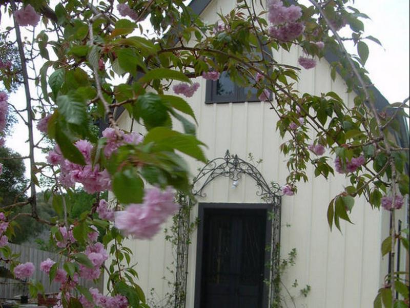 Silverleaf Cottage Rye Dış mekan fotoğraf